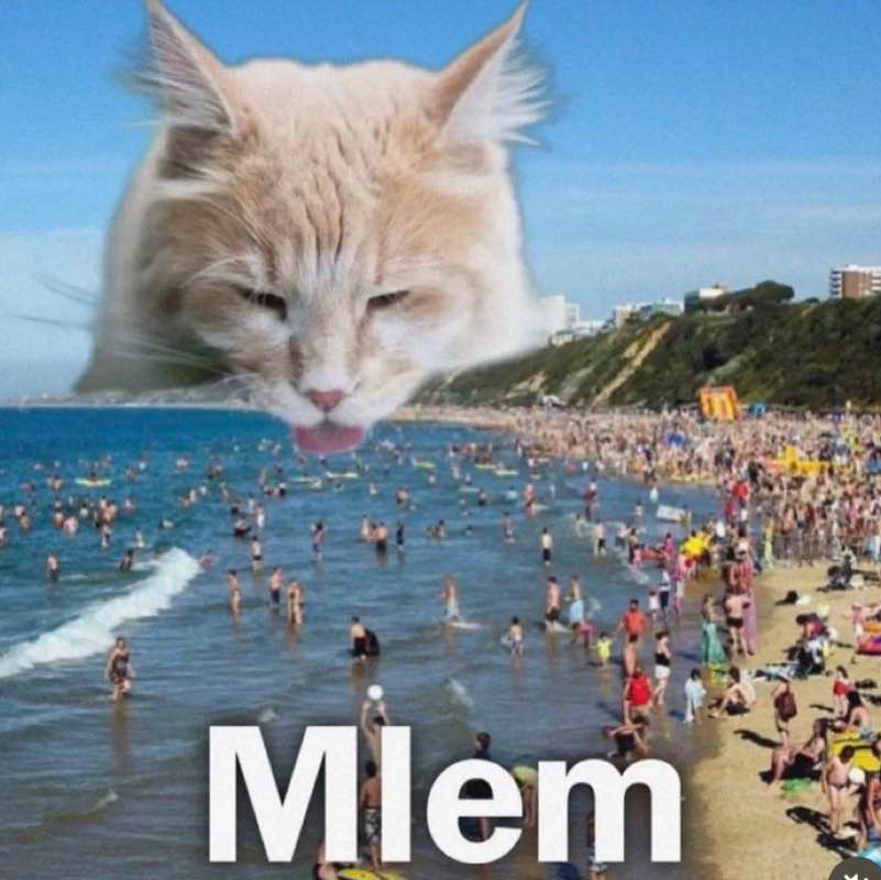 26S08 Jiaxin post image