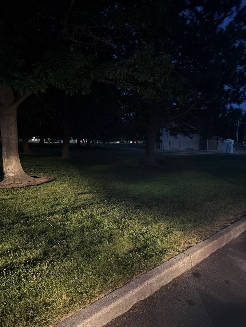 walking near me in Franklin Park in summer