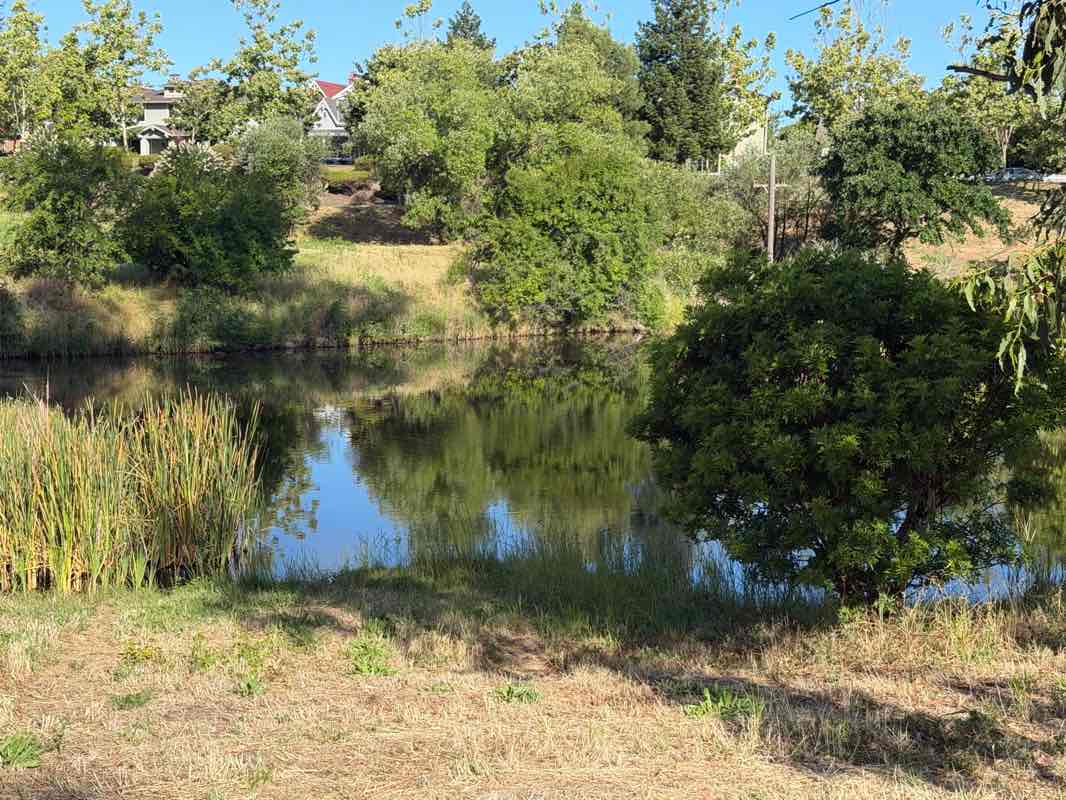 walking near me in Frog Pad Park in spring