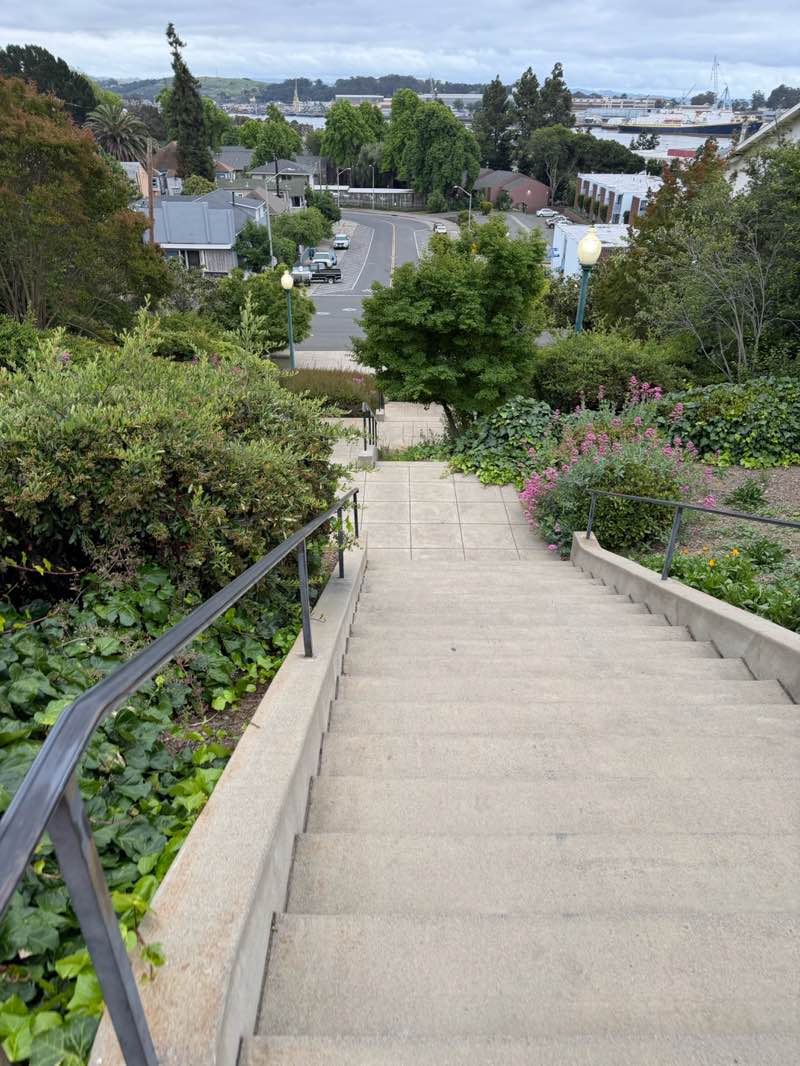 walking near me in Independence Park in spring