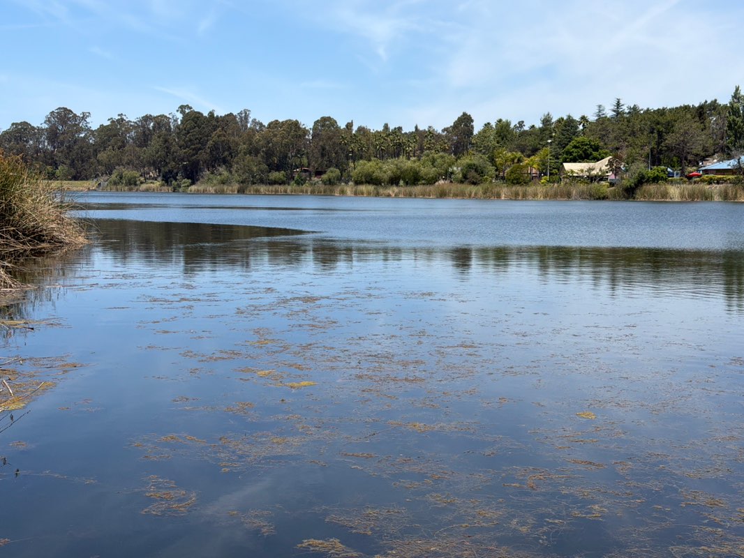 walking near me in Dan Foley Park in summer