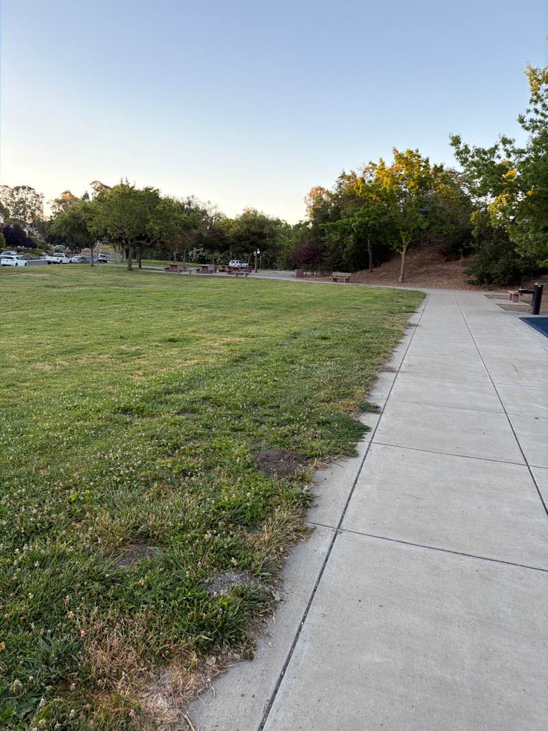 walking near me in Mountain View Park in summer