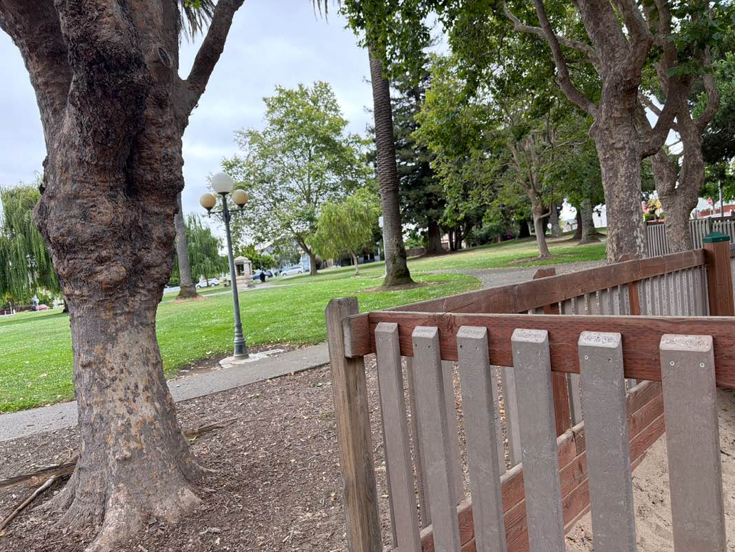 walking near me in City Park in summer