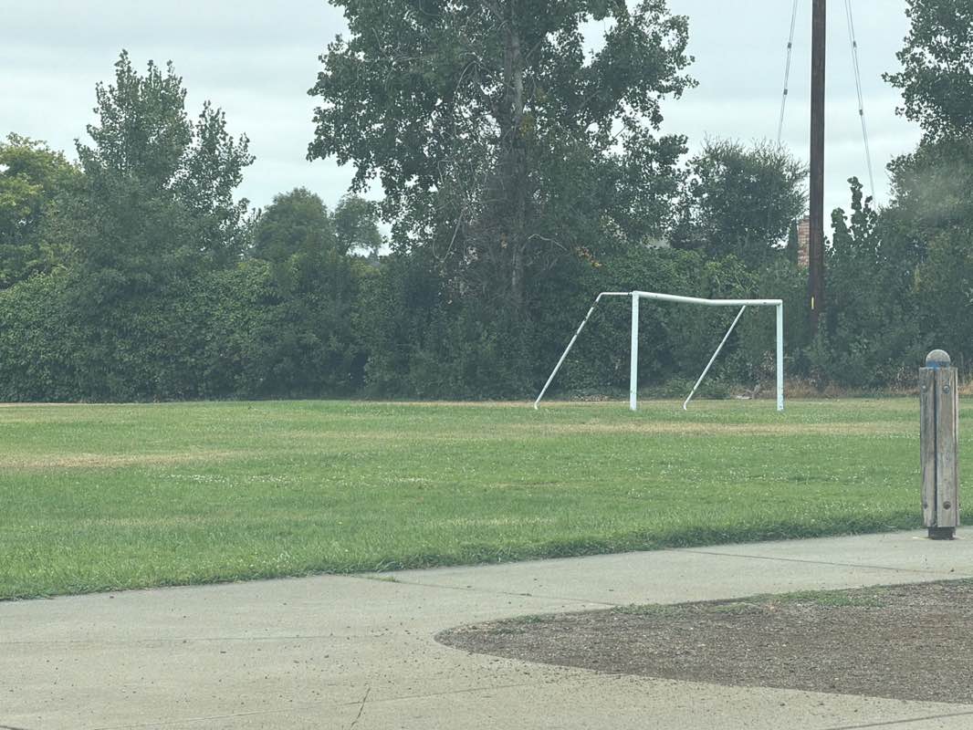 walking near me in Richardson Park in summer