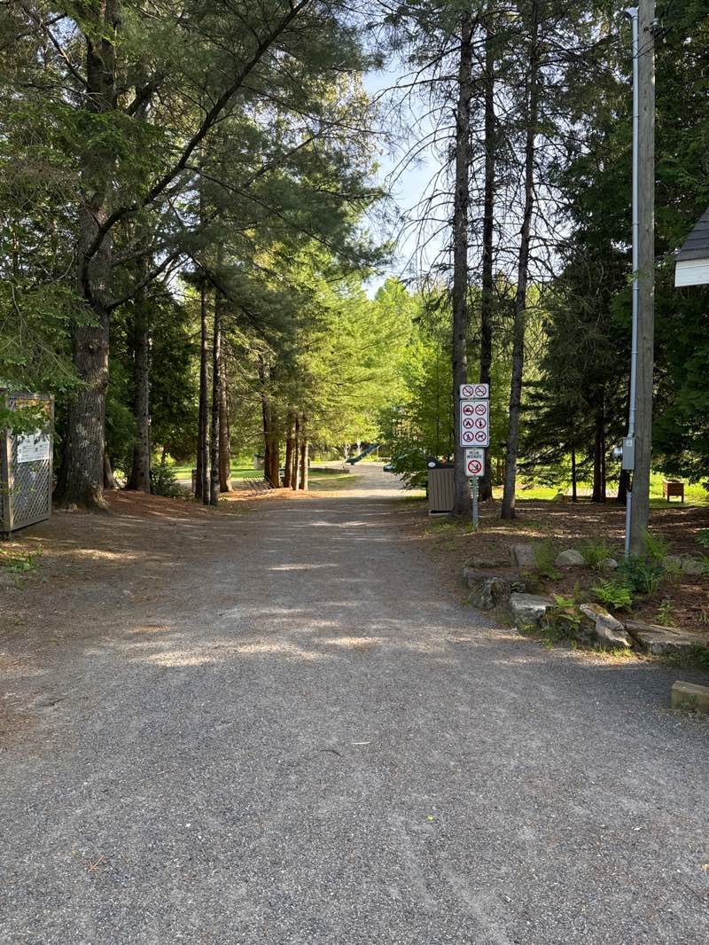 walking near me in Lummis Park in summer
