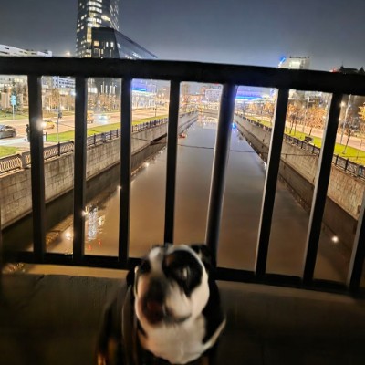 «Мегаполис ИТ» Александр Белан post image