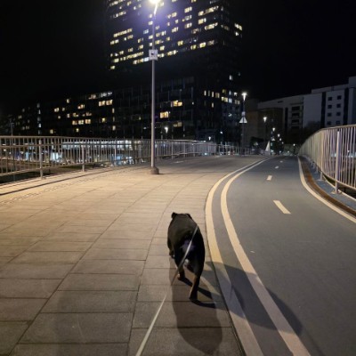 «Мегаполис ИТ» Александр Белан post image