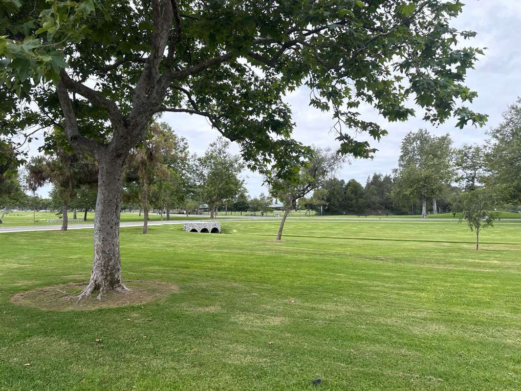 walking near me in Fountain Valley Sports Park in spring