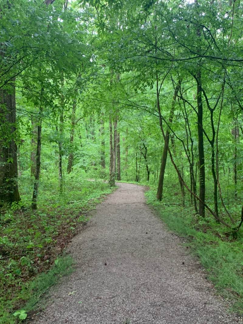 walking near me in Wheeler National Wildlife Refuge in spring