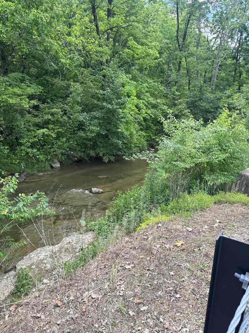 walking near me in Lincoln Woods Park in summer