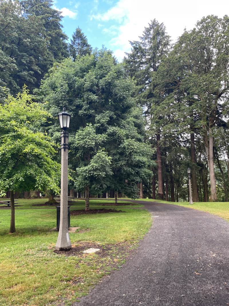 walking near me in Sellwood Park in summer