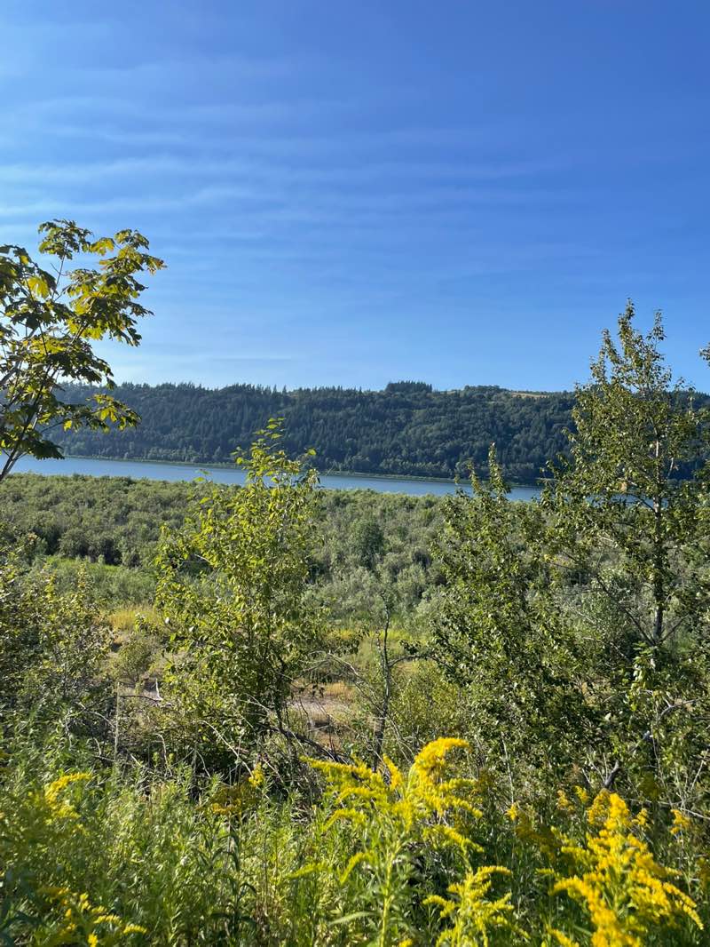 walking near me in Rooster Rock State Park in summer