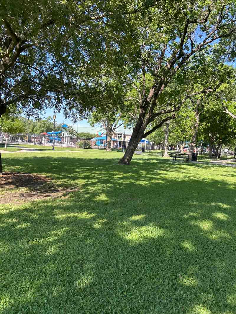 walking near me in Bellaire Park in spring