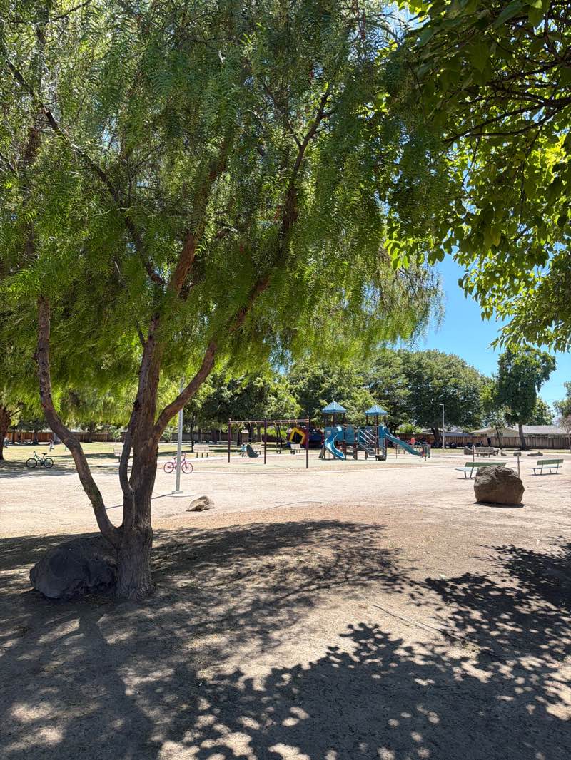 walking near me in Starlite Park in summer