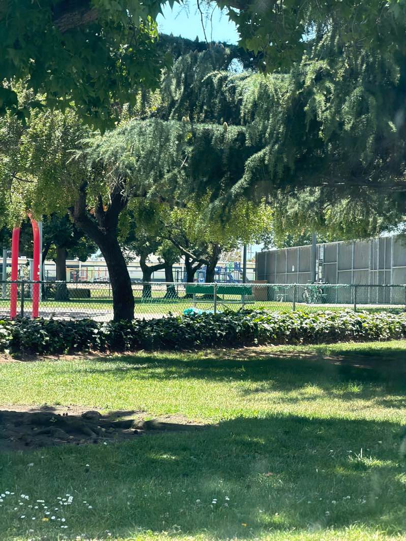 walking near me in Hall Memorial Park in summer