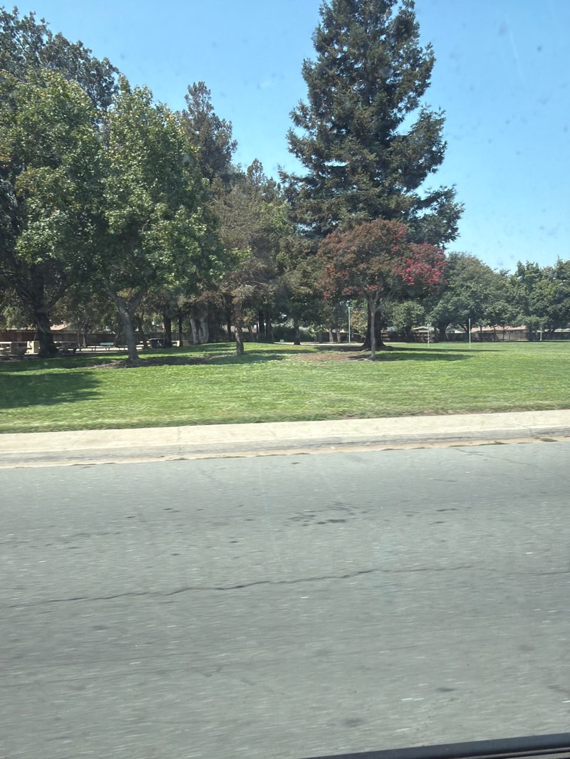 walking near me in Starlite Park in summer