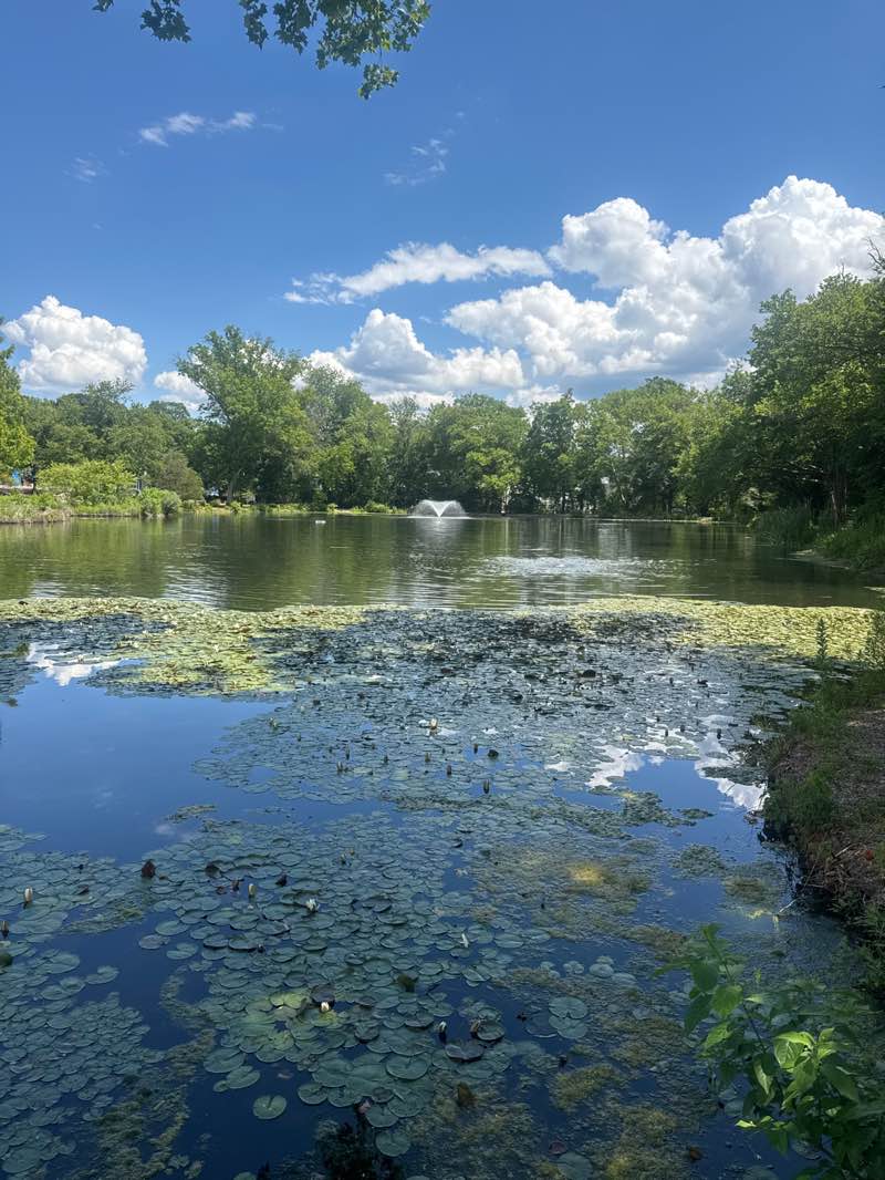 walking near me in Liberty Park in summer
