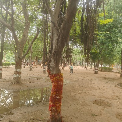 Siemens Energy Vappala Jayaraj post image