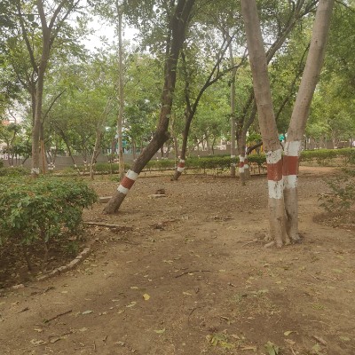 Siemens Energy Vappala Jayaraj post image
