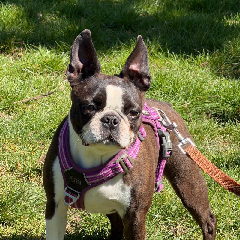 Ruth profile