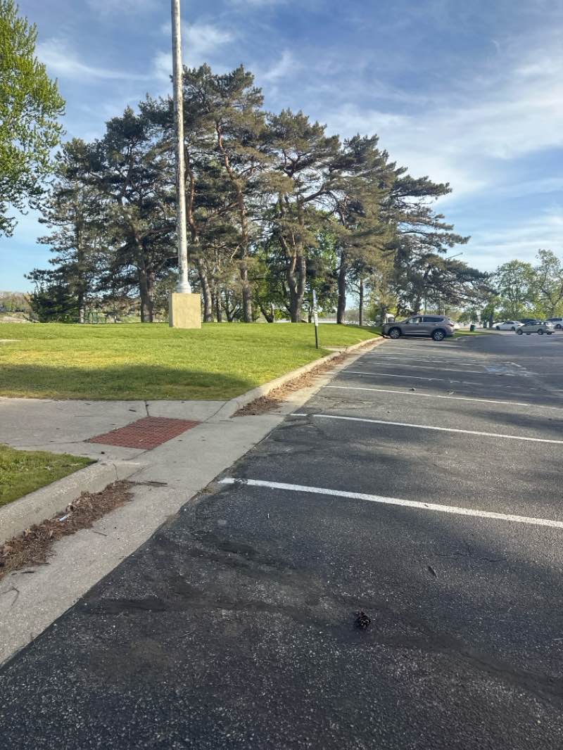 walking near me in Walbridge Park in spring
