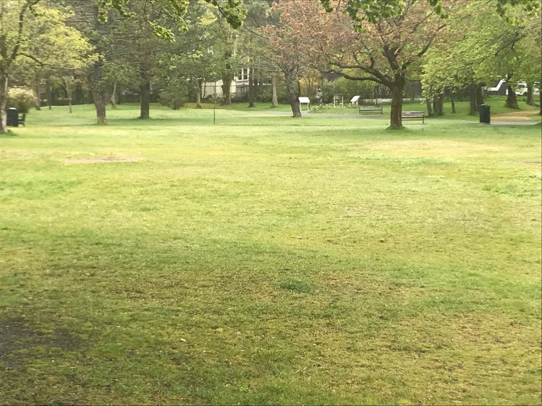 walking near me in Bannerman Park in summer