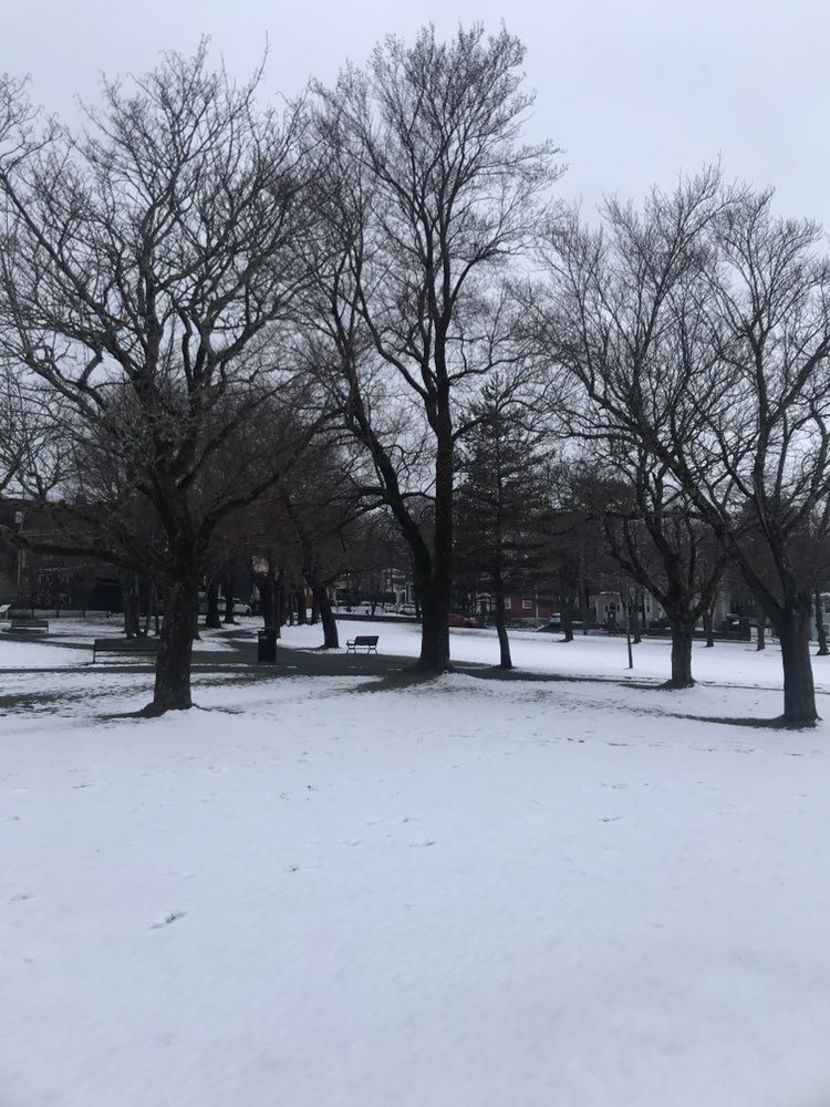 walking near me in Bannerman Park in spring