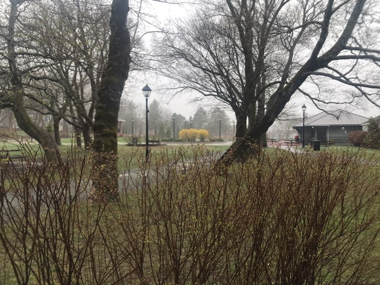 walking near me in Bannerman Park in spring