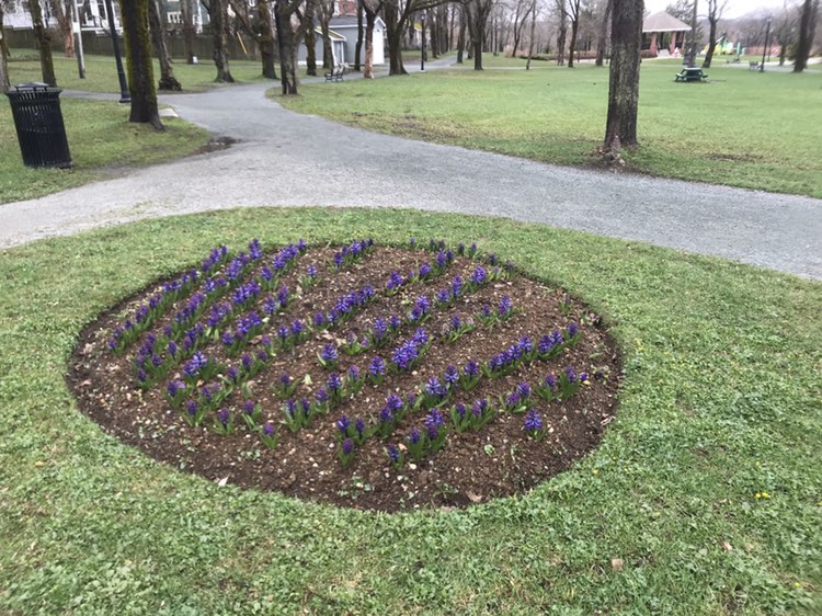 walking near me in Bannerman Park in spring