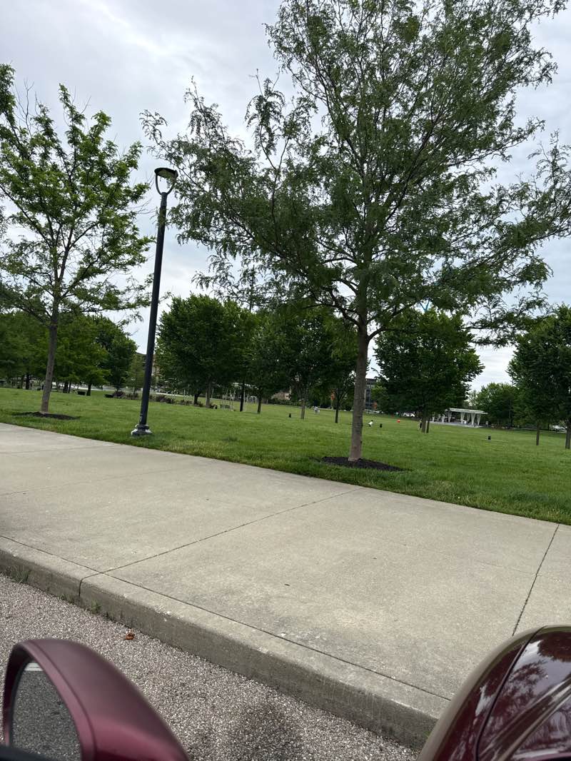 walking near me in Summit Park in summer