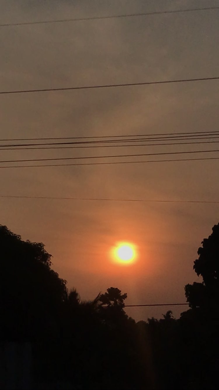 walking near me in Carmen Municipal Plaza in spring