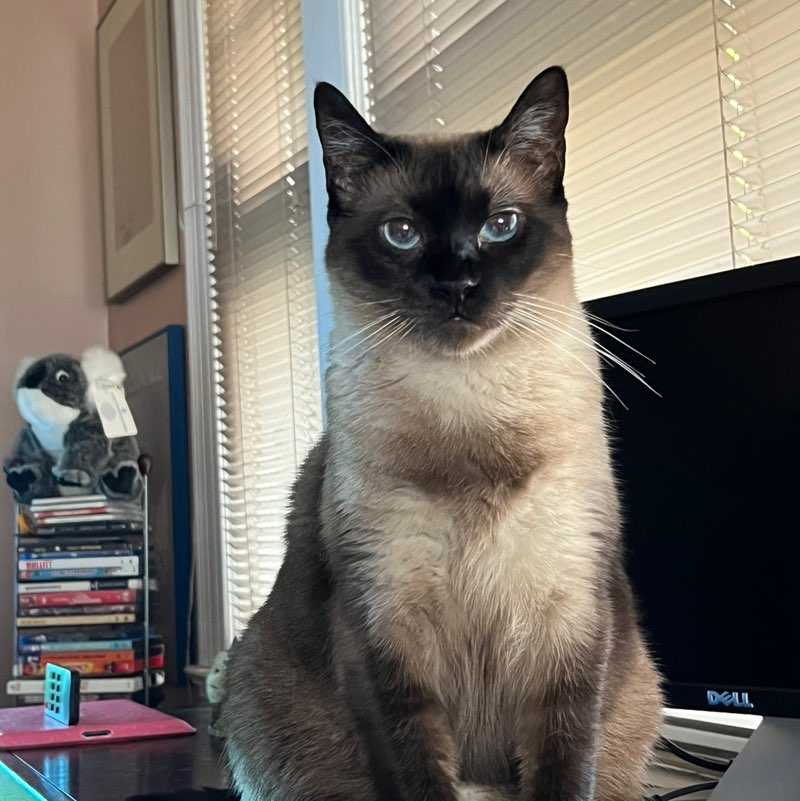 Patricia