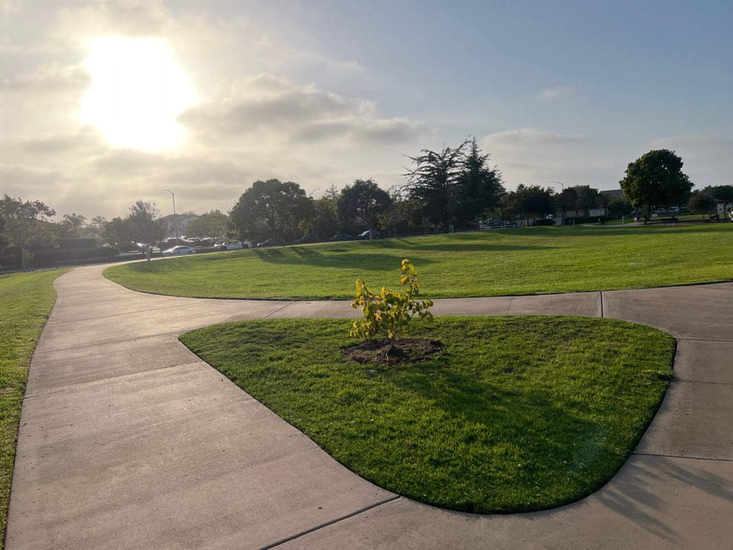 walking near me in Westgate Park in summer
