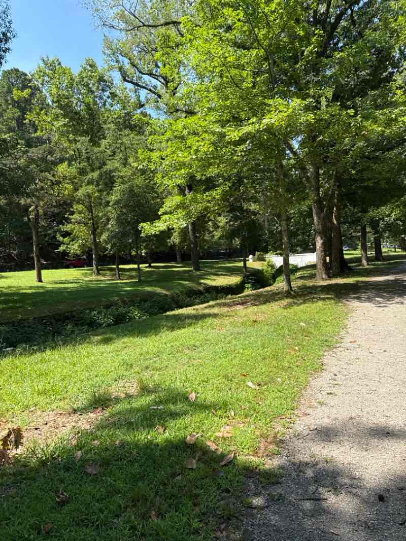 walking near me in Whittington Park in summer