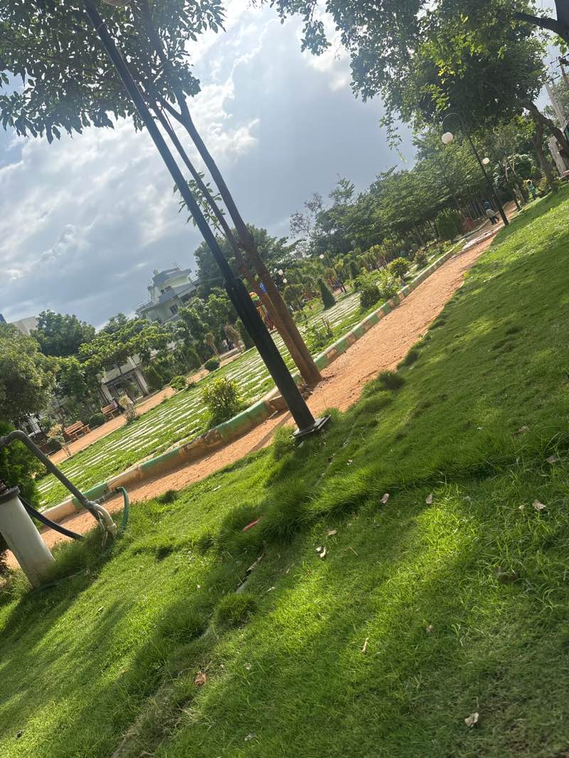 walking near me in St Micheals Colony Park in summer