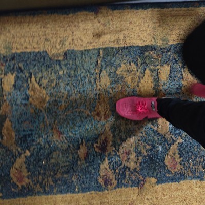 the diet gang rania soliman post image