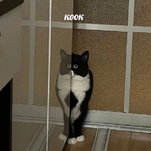 Shchyolk_klatsovich profile