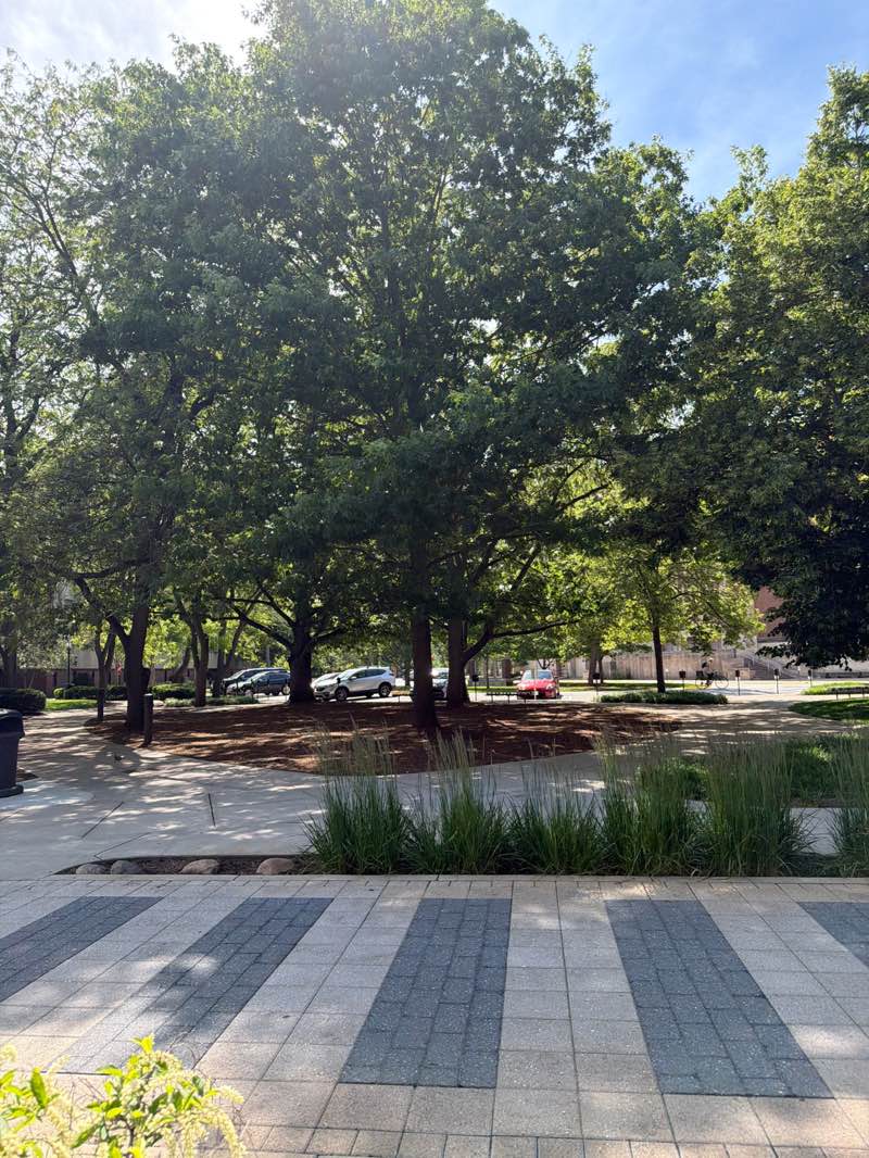 walking near me in Bell Tower Area in summer
