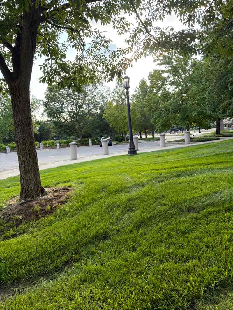 walking near me in Academy Park in summer