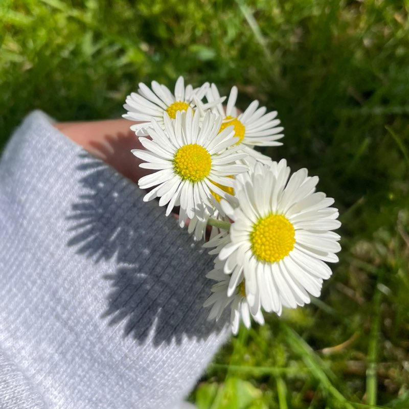 ⭐️🌸Melānija🌸⭐️