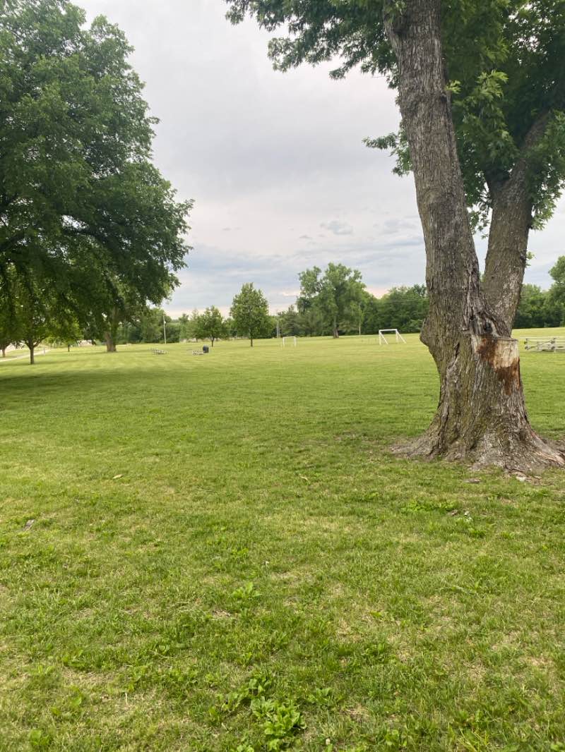 walking near me in Ogden New South Park in spring