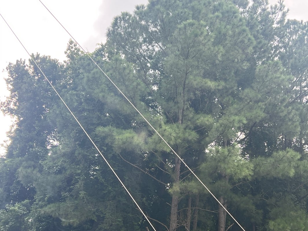 walking near me in ZipQuest Waterfall Treetop Adventure in summer
