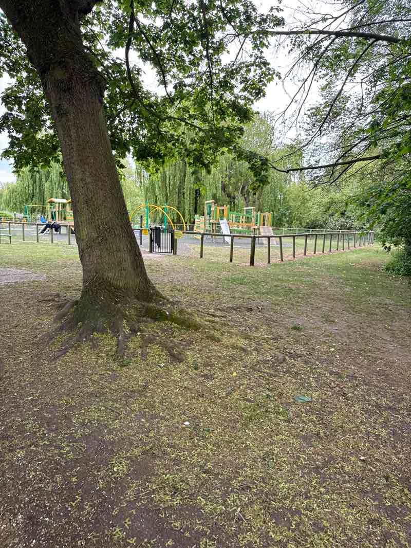 walking near me in Godmanchester Recreation Ground in spring