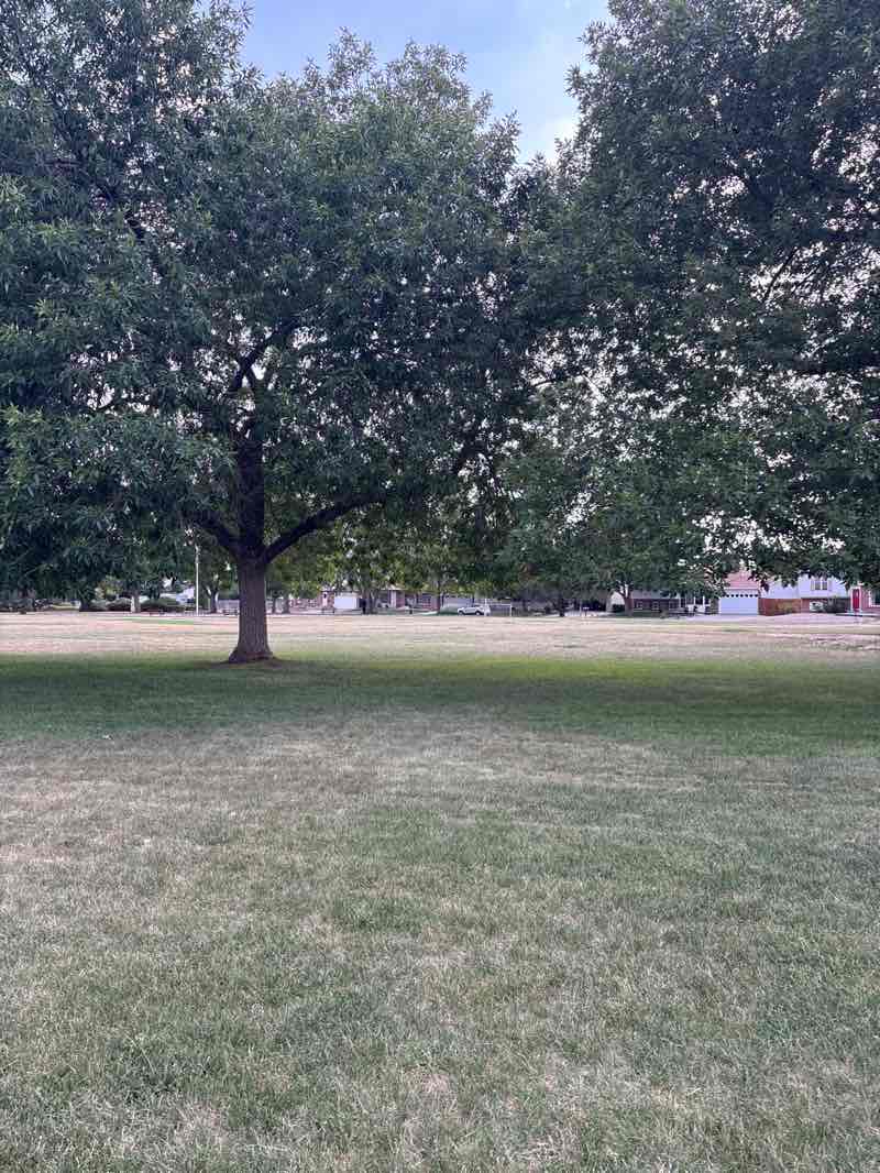 walking near me in Remington Park in summer