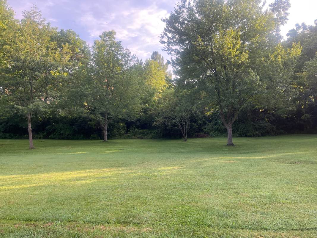 walking near me in Kelley Park in summer