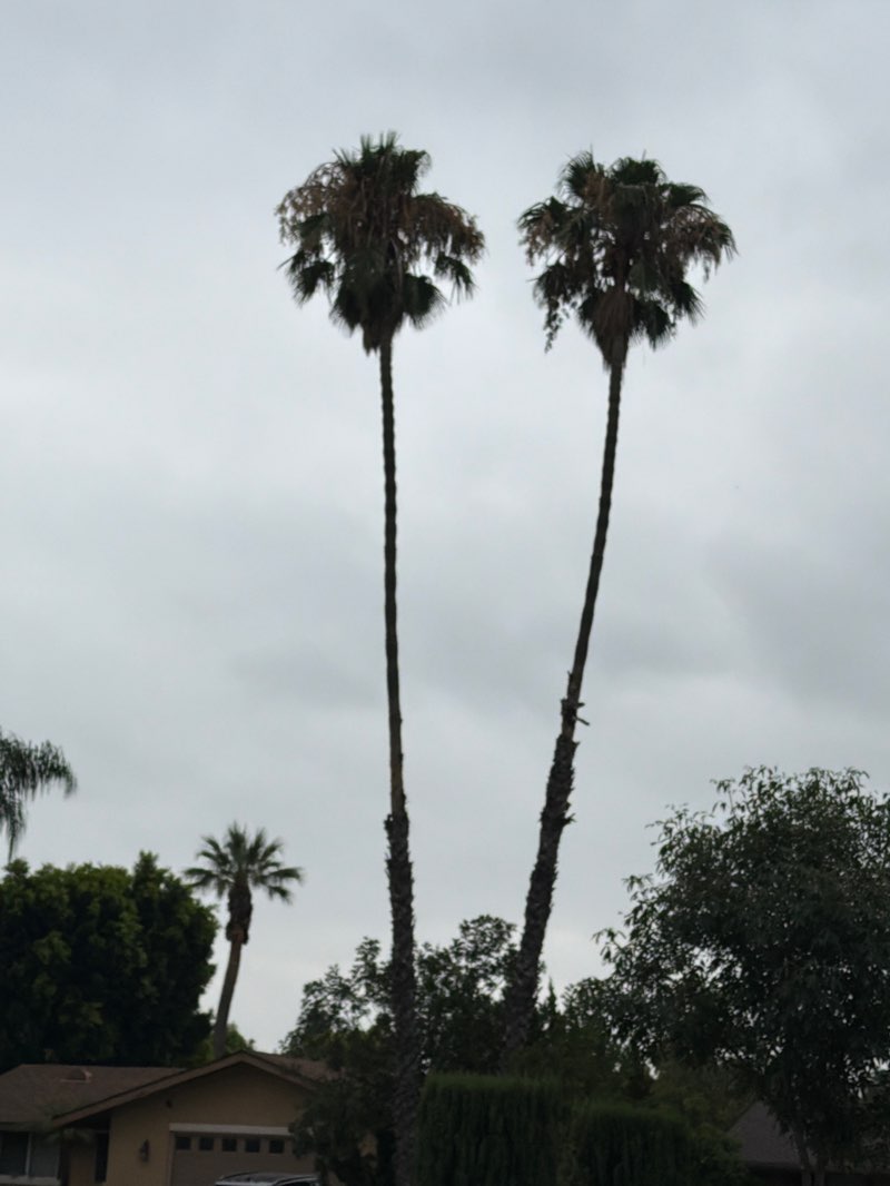 walking near me in Don Lorenzi Park in summer