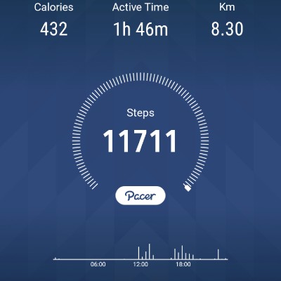 Jeddah Walking Mohamed Mydeen S post image
