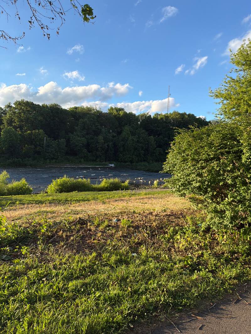 walking near me in Riverside Park in summer