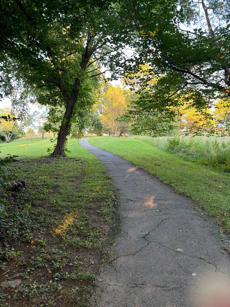 walking near me in Ball Camp Park in summer