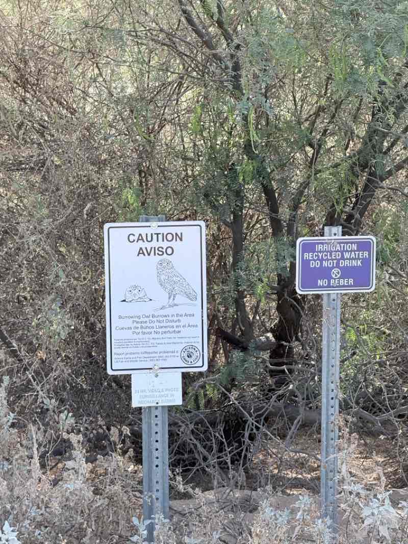walking near me in Veterans Oasis Park in summer